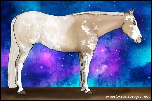 Horse Color:Silver Black Pearl Sabino 
