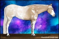 Horse Color:Silver Black Pearl Sabino 