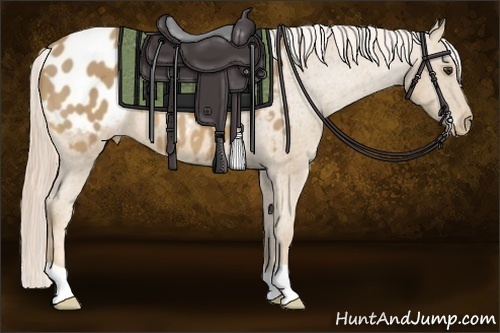 Horse Color:Palomino Blanket