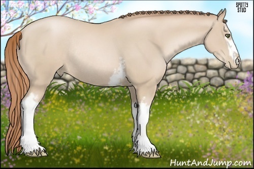 Horse Color:White Spotted Smoky Black Pearl Rabicano