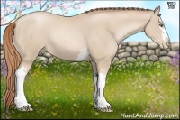 Horse Color:White Spotted Smoky Black Pearl Rabicano