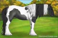 Horse Color:Black Tobiano 
