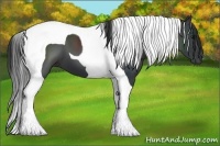 Horse Color:Black Tobiano 