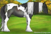 Horse Color:Smoky Black Tobiano 