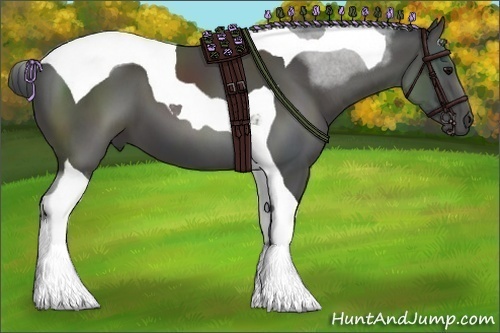 Horse Color:Black Tobiano