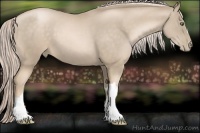 Horse Color:Chocolate Palomino Pearl Frame 