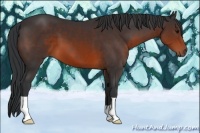 Horse Color:Brown 