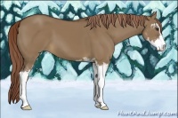 Horse Color:Liver Red Dun Sabino