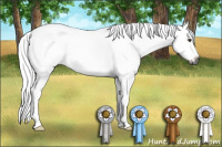 Horse Color:Gray Chestnut Sabino