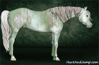 Horse Color:Chocolate Palomino Ice Splash