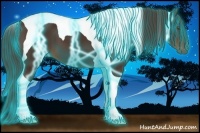 Horse Color:Thunderstruck Liver Chestnut Tobiano 