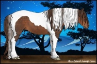 Horse Color:Liver Chestnut Tobiano 