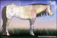 Horse Color:Nacre Amber Cream Champagne Ice Onyx 