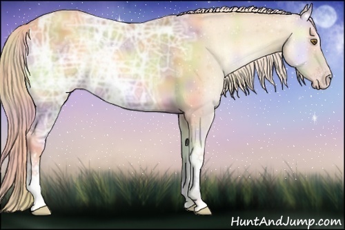 Horse Color:Nacre Gold Cream Champagne Ice Onyx