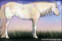 Horse Color:Nacre Gold Cream Champagne Ice Onyx