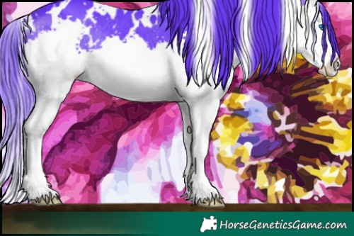 Horse Color:Watercolor White Spotted Brown Splash 