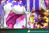 Horse Color:Watercolor White Spotted Brown Splash