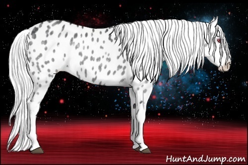 Horse Color:Silver Black Chinchilla Near Leopard 