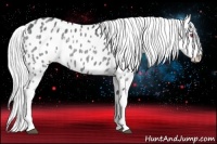 Horse Color:Silver Black Chinchilla Near Leopard