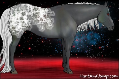 Horse Color:Silver Black Chinchilla Ice