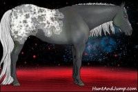Horse Color:Silver Black Chinchilla Ice