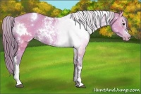 Horse Color:Watercolor White Spotted Brown Pearl Rabicano 