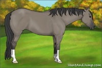 Horse Color:Smoky Grullo 