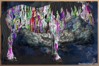 Horse Color:Black Ice 