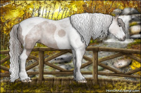 Horse Color:Gray Liver Chestnut Splash Tobiano 