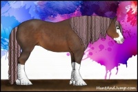 Horse Color:Painted Liver Chestnut Splash 