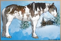 Horse Color:White Spotted Brown Ice Splash 