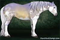Horse Color:Watercolor Silver Bay Splash 