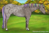 Horse Color:Painted Silver Black Ice Rabicano