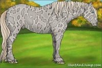 Horse Color:Perlino Ice 