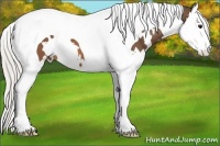 Horse Color:White Spotted Silver Brown Splash Tobiano