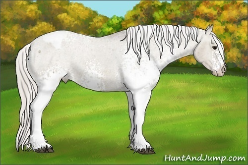 Horse Color:White Spotted Silver Grullo Varnish 