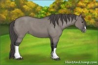 Horse Color:Grullo Roan Varnish 