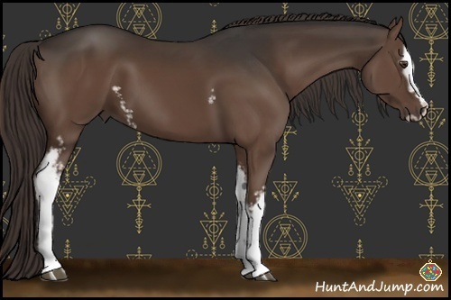 Horse Color:White Spotted Liver Chestnut Sabino 