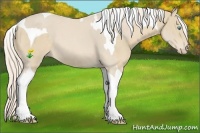 Horse Color:Cremello Tobiano  and Cremello Tobiano 