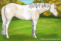 Horse Color:Cremello Tobiano  and Cremello Tobiano 