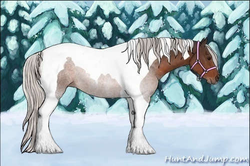Horse Color:Silver Brown Tobiano 