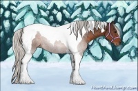 Horse Color:Silver Brown Tobiano 