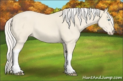 Horse Color:Cremello Tobiano 