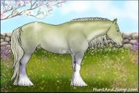 Horse Color:Chocolate Palomino Pearl Tobiano