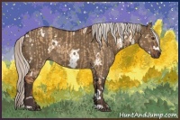 Horse Color:White Spotted Silver Bay Dun  and White Spotted Silver Brown Dun 