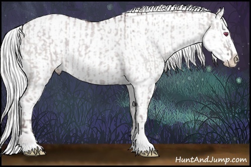Horse Color:Chocolate Silver Grullo Chinchilla Roan Sabino and Chocolate Silver Blue Chinchilla Roan Sabino Appaloosa