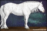 Horse Color:Chocolate Silver Grullo Chinchilla Roan Sabino  and Chocolate Silver Blue Chinchilla Roan Sabino Appaloosa 