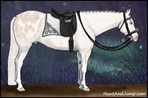 Horse Color:Cremello Tobiano Varnish