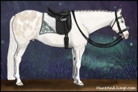 Horse Color:Cremello Tobiano Varnish