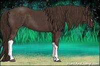Horse Color:Liver Chestnut 